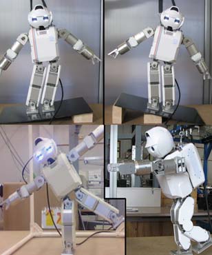  robot hoap humanoide