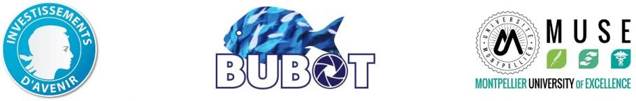 Bubot web site