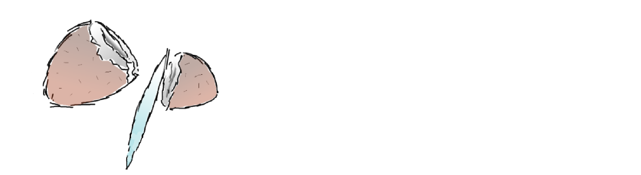 coconut banner