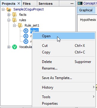 rule editor