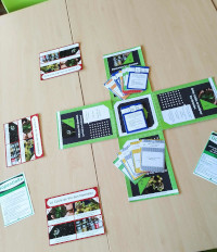 jeu GopenDore