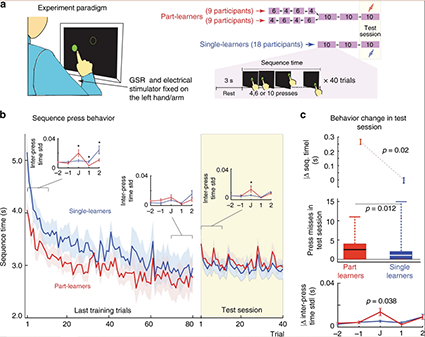 Neuroscience of anxiety induced motor deterioration in humans