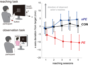 Prediction induced motor contagions in human