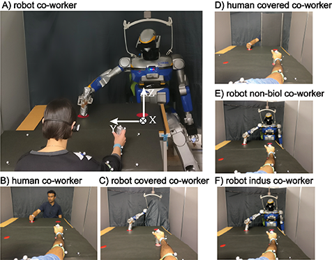 Human aware robots