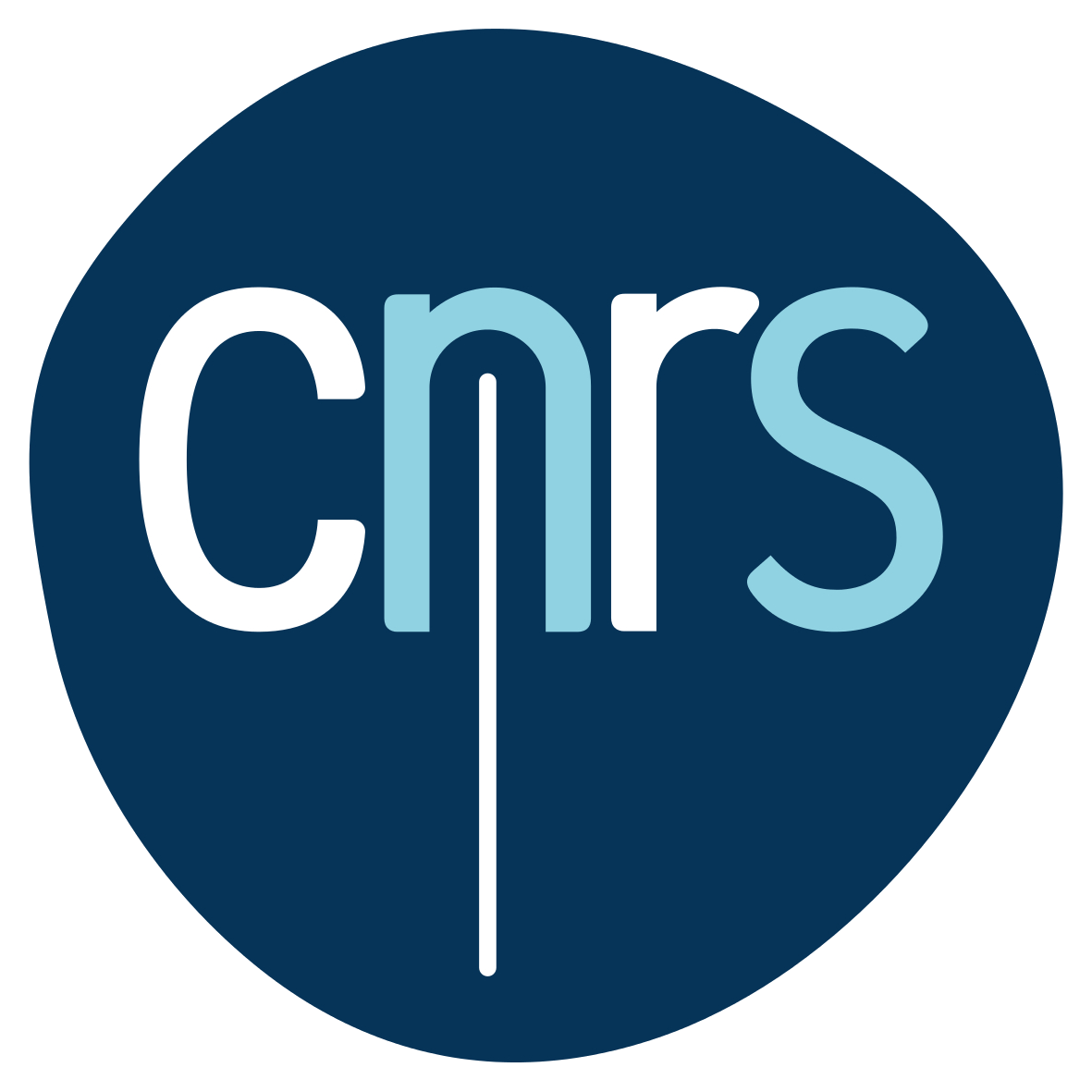 Logo CNRS