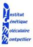 logo igmm