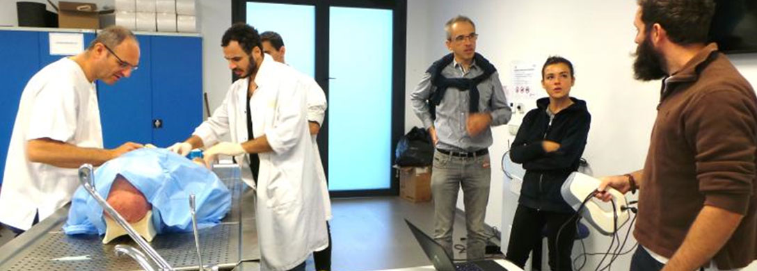 ICAR team members : scanning of anatomical structures for the Vesale 3D project (Virtual dissection) supported by Muse and involving Guillaume Captier (Professor of Anatomy with CHU Montpellier and ICAR associate researcher), Noura Faraj and Gérard Subsol (third from right).