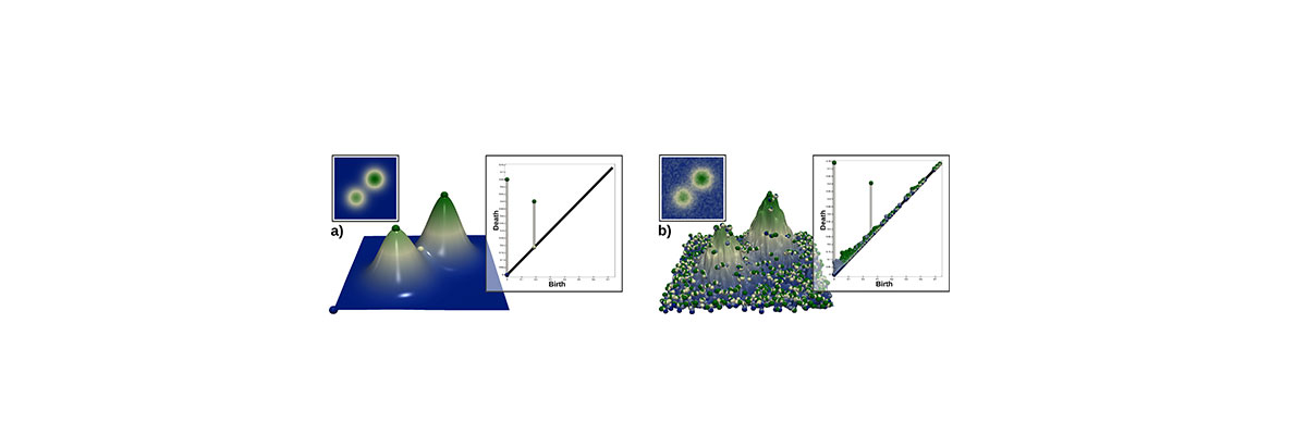  paper 'Persistence Atlas for Critical Point Variability in Ensembles' co-authored by 
						Noura Farajl