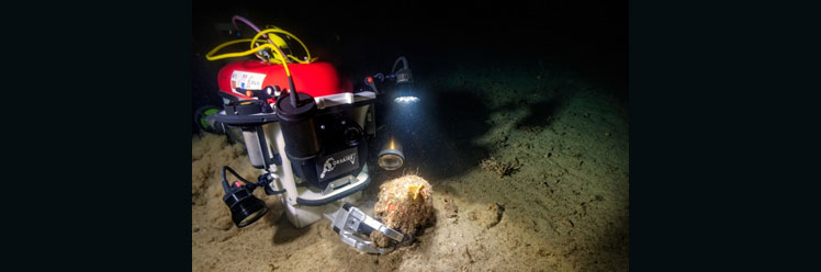 Underwater robotics