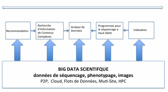 Mastodons : Scientific Data Management