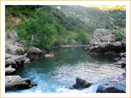 Gorges de l'Hérault