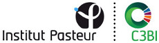 Logo C3BI - Institut Pasteur