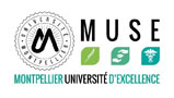 Montpellier University of Excellence at sssr-2021 conference