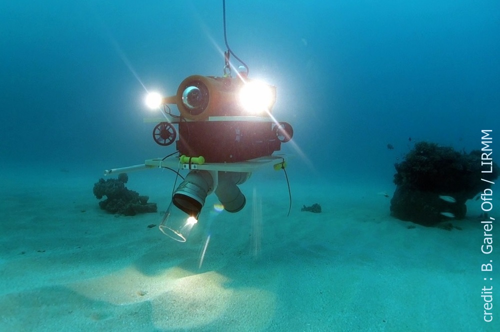 ROV Flipper à Mayotte en 2017 - projet Reef Explorer