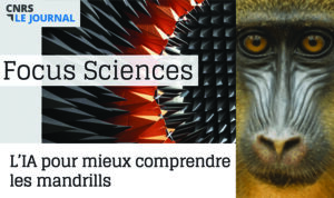 Focus CNRS Mandrille et IA