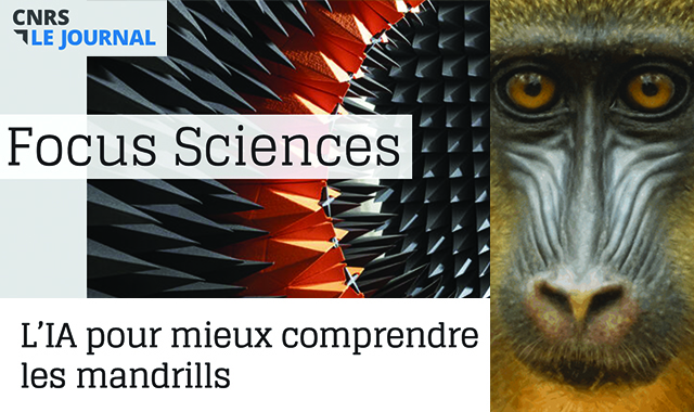 Focus CNRS Mandrille et IA