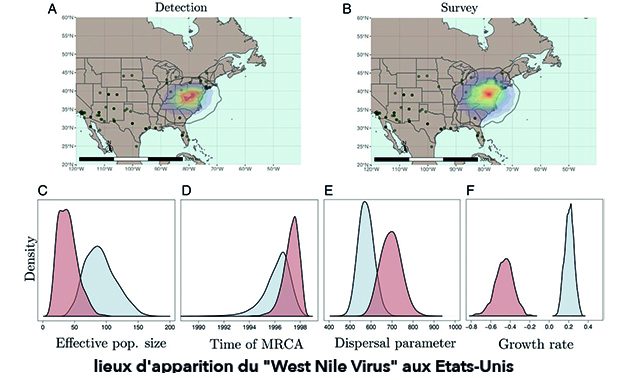 Virus-Guindon_LIRMM