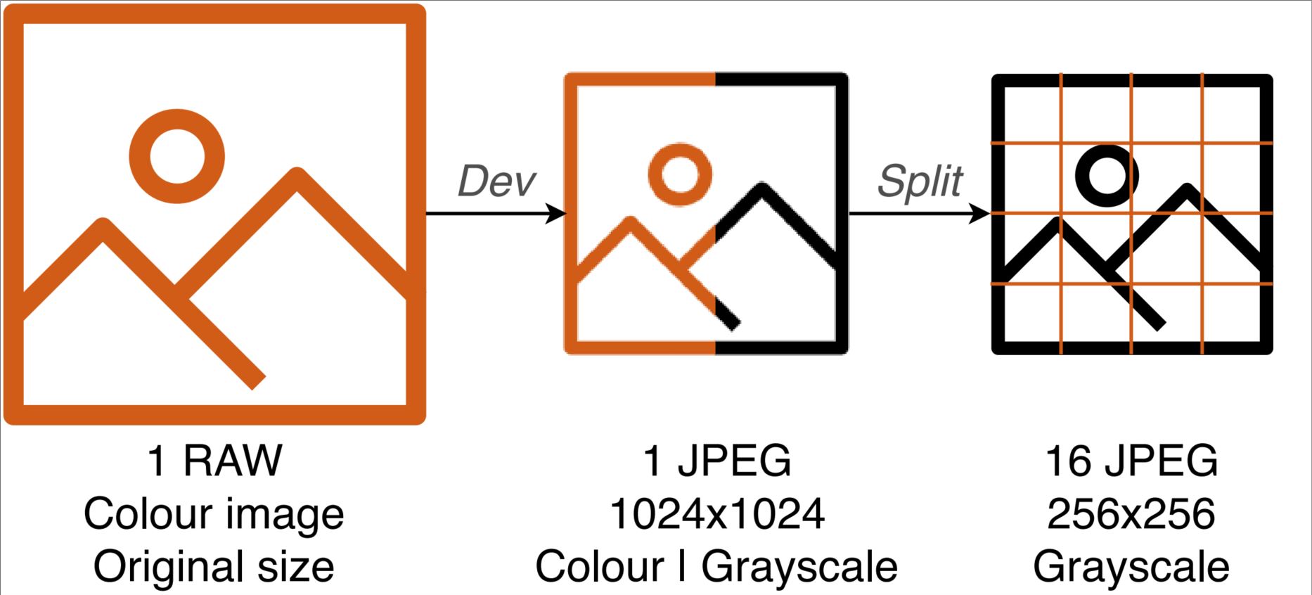 Diagram of the RAW image development process