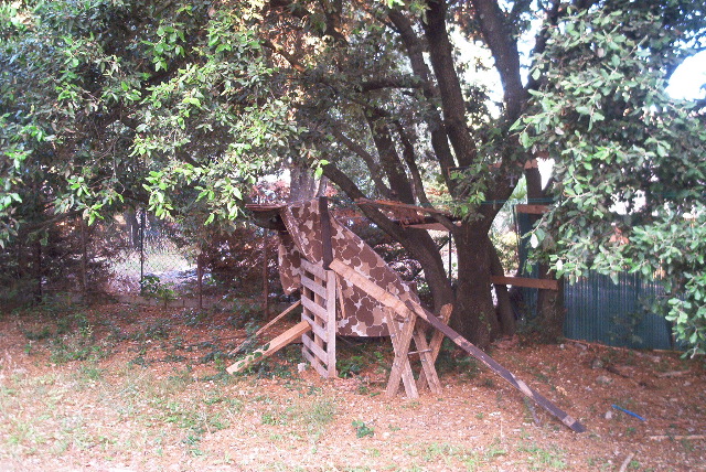 IM003242.JPG