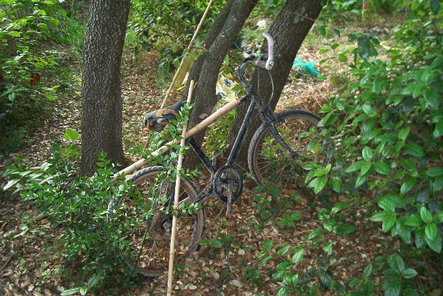 IM003250.JPG