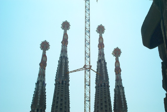 IM002005.JPG