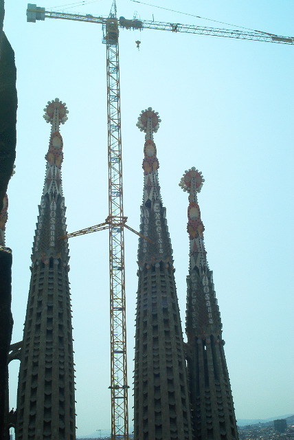 IM002006.JPG