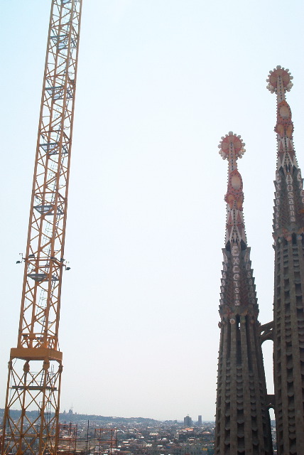 IM002007.JPG