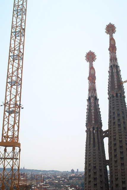 IM002008.JPG