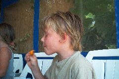 IM001981.JPG