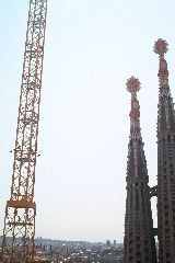 IM002007.JPG