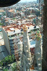 IM002010.JPG