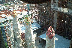 IM002011.JPG