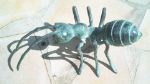 Roll 22 - 20