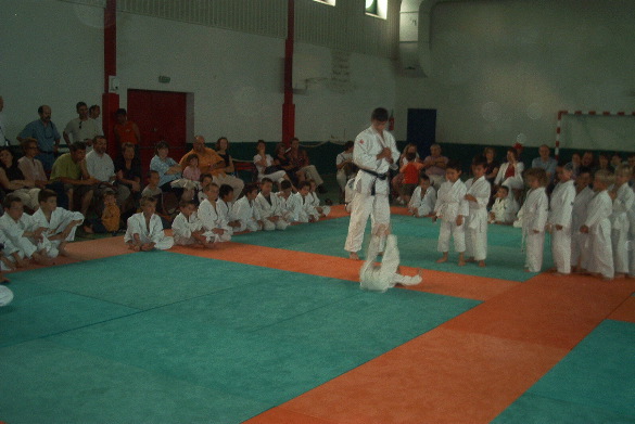 IM003201