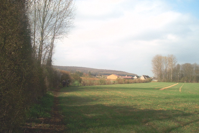 IM003003_2