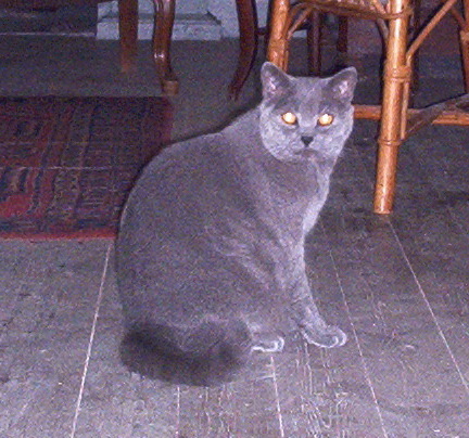 Roll 25 - 15