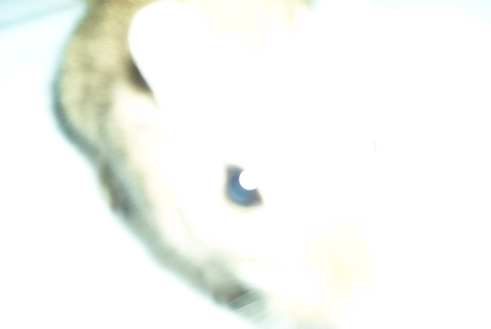 IM002697.JPG