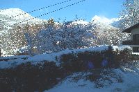 IM002603.JPG