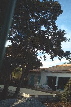 IM002744.JPG