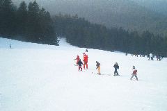 IM002836.JPG