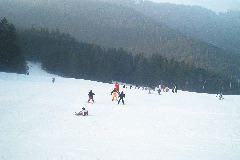 IM002837.JPG