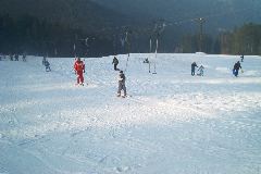IM002828.JPG