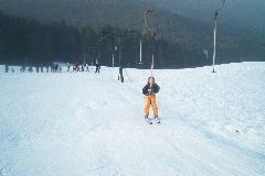 IM002829.JPG