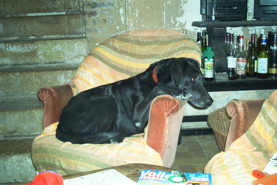 IM001535.JPG