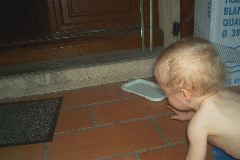 IM002358.JPG