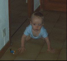 IM002340.JPG