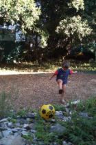 Roll 20 - 7