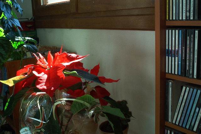 IM002809.JPG