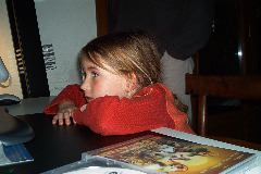 IM002785.JPG