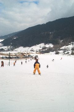 IM001117.JPG